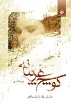 جلد کتاب کوچ غریبانه