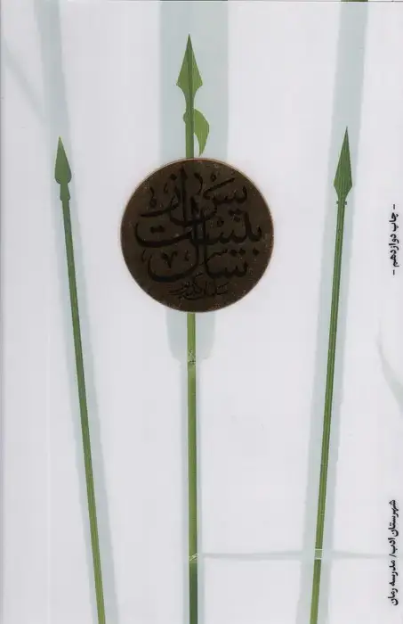 جلد کتاب پس از بیست سال