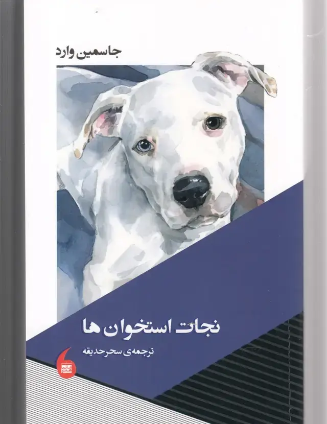 جلد کتاب نجات استخوان ها (مانیا هنر)