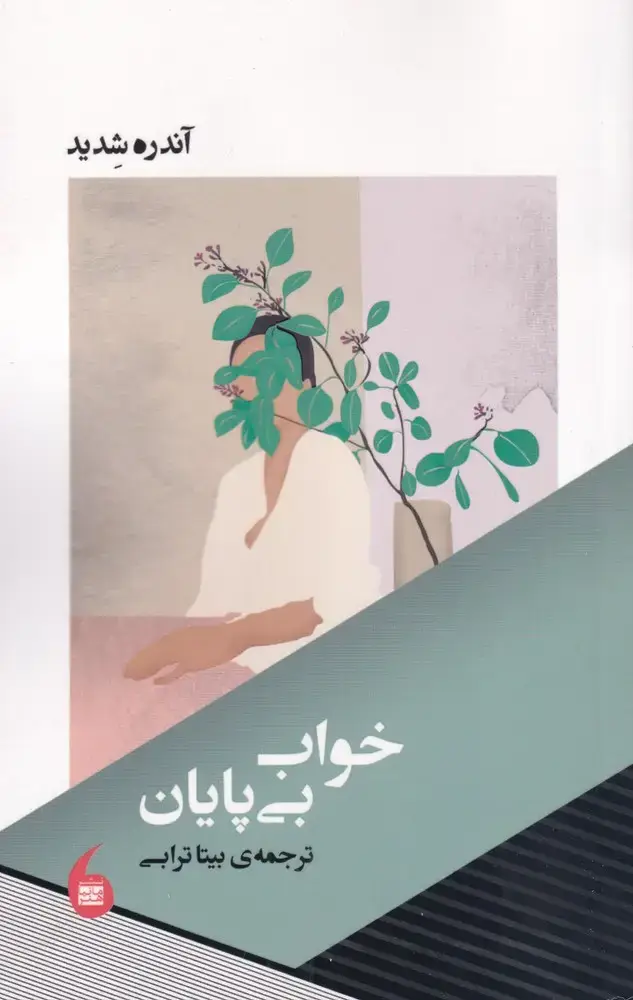جلد کتاب خواب بی پایان (مانیاهنر)