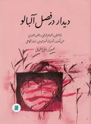 جلد کتاب دیدار در فصل آلبالو