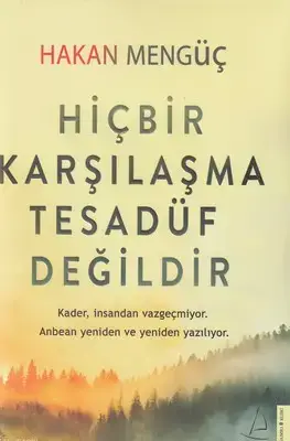 جلد کتاب اورجینال-ترکی-hicbir karsilasma هیچ ملاقاتی تصادفی