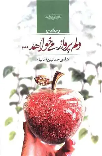 جلد کتاب دلم پرواز می خواهد