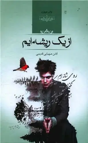 جلد کتاب از یک ریشه ایم (گالینگور)