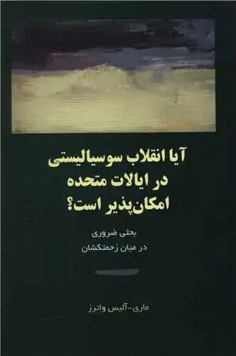 جلد کتاب آیا انقلاب سوسیالیستی در ایالات متحده امکان پذیر است