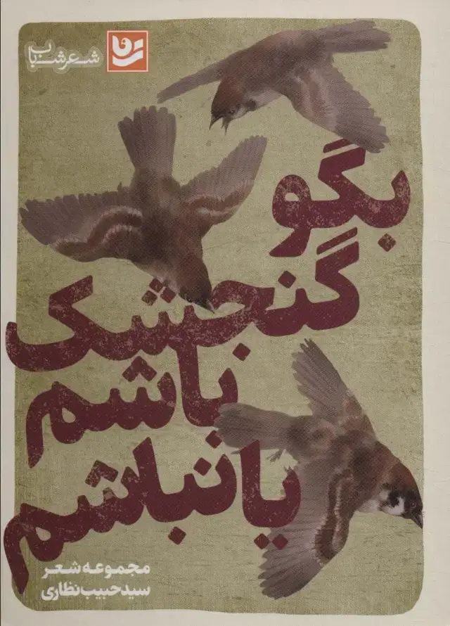 جلد کتاب بگو گنجشک باشم یا نباشم (شعر شباب29)