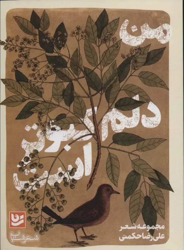جلد کتاب من دلم کبوتر است (شعر شباب33)