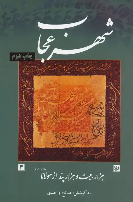 جلد کتاب شهر عجاب (هزار بیت و هزار پند از مولانا)