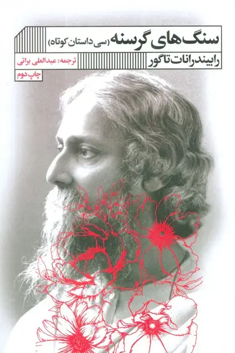 جلد کتاب سنگ های گرسنه (سی داستان کوتاه)