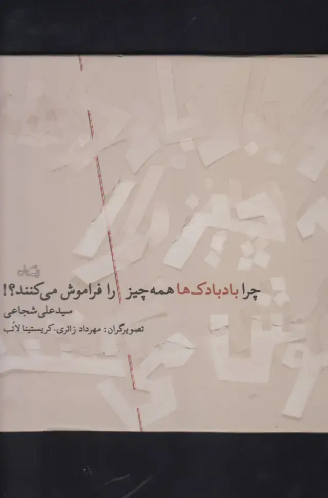 جلد کتاب چرا بادبادک‌ها همه چیز را فراموش می‌کنند (نیستان)