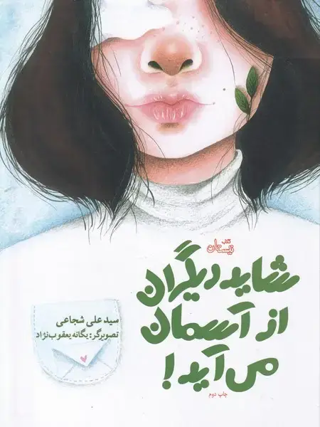 جلد کتاب شاید دیگران از آسمان می‌آید (نیستان)