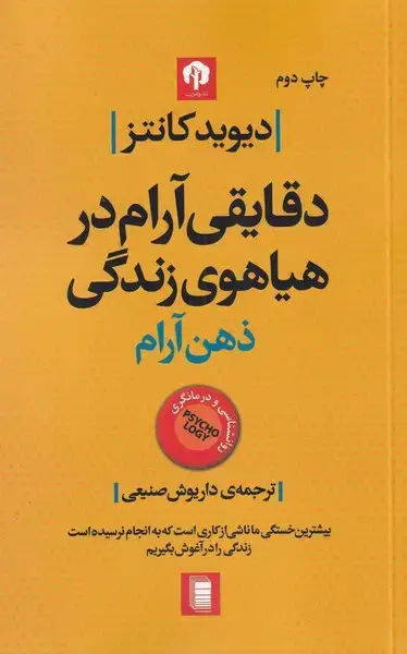 جلد کتاب دقایقی آرام در هیاهوی زندگی (دامون)
