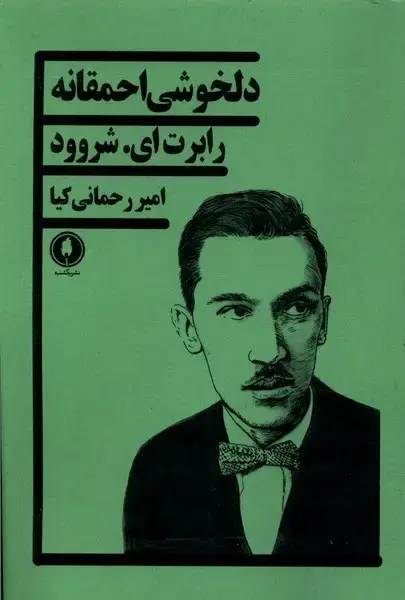 جلد کتاب دلخوشی احمقانه (یکشنبه)