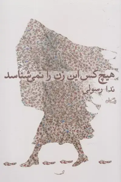 جلد کتاب هیچ کس این زن را نمی‌شناسد (نیستان)