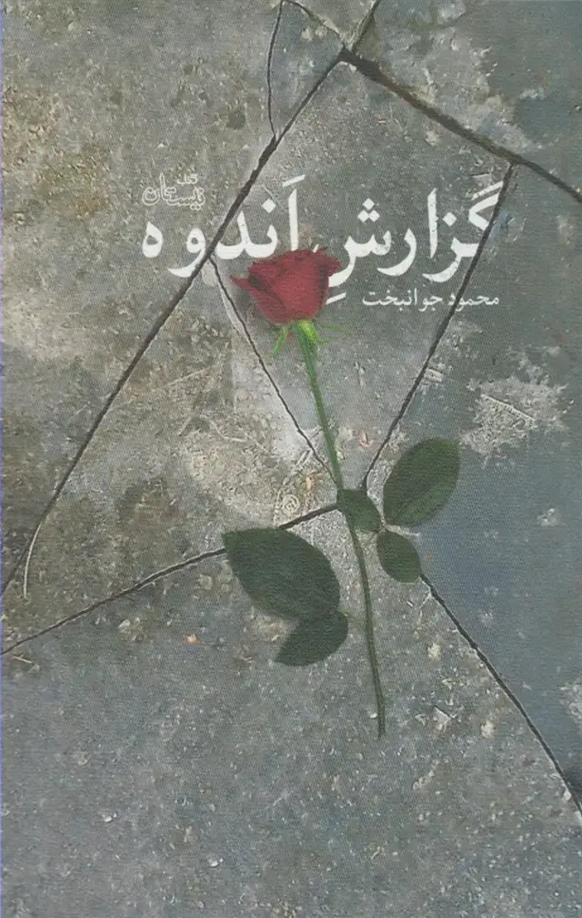جلد کتاب گزارش اندوه (نیستان) *