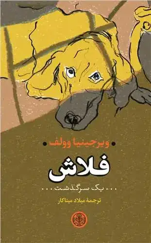 جلد کتاب فلاش: یک سرگذشت