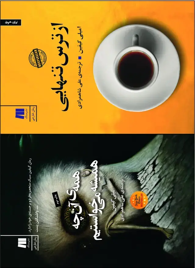 جلد کتاب دو رمان امیلی گیفین