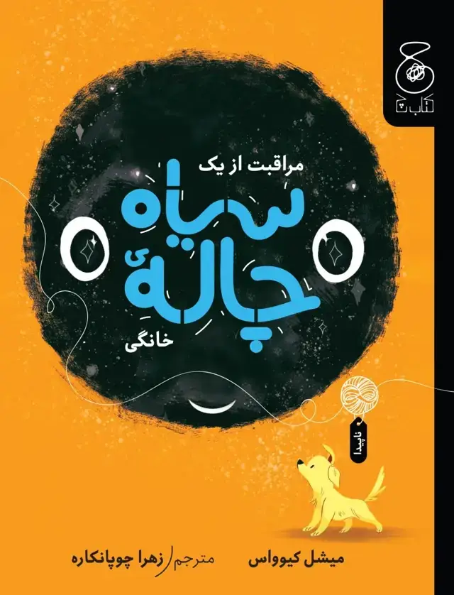 جلد کتاب مراقبت از یک سیاه چاله‌ی خانگی