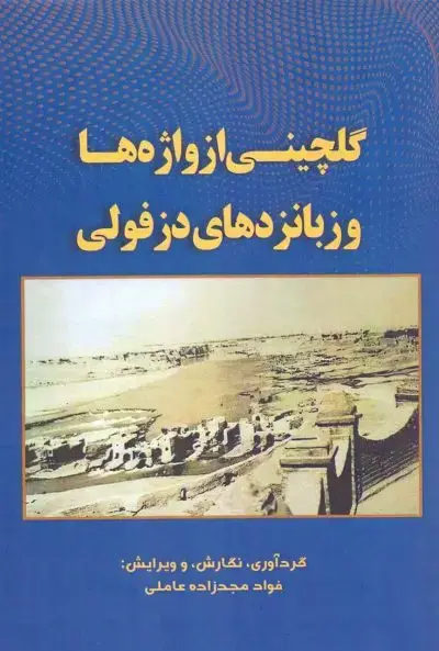 جلد کتاب گلچینی از واژه‌ها و زبانزدهای دزفولی