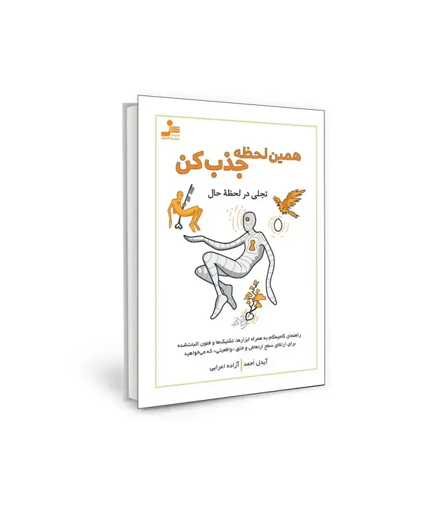جلد کتاب همین لحظه جذب کن
