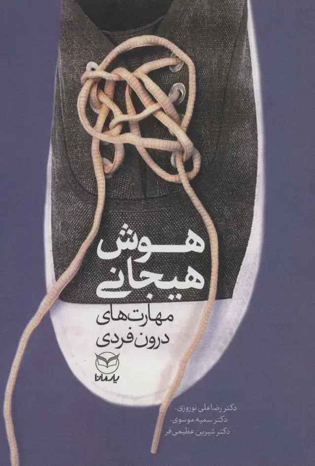 جلد کتاب هوش هیجانی (مهارت های درون فردی)