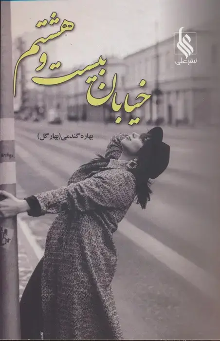 جلد کتاب خیابان بیست و هشتم