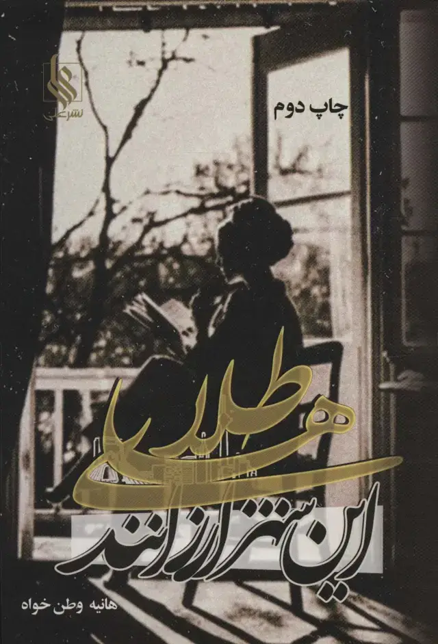جلد کتاب طلاهای این شهر ارزانند