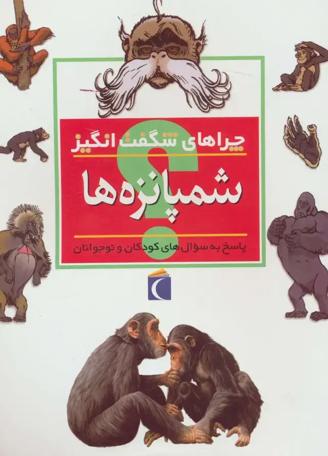 جلد کتاب شمپانزه ها (چراهای شگفت انگیز)