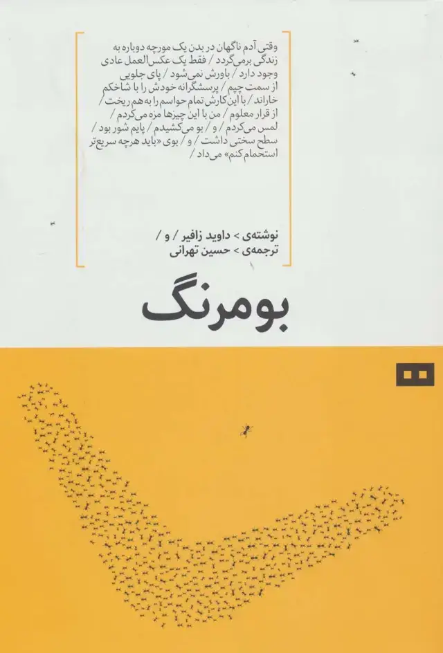جلد کتاب بومرنگ