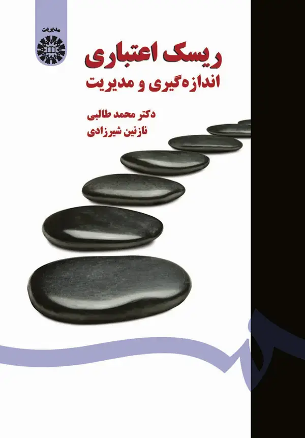 جلد کتاب ریسک اعتباری: اندازه گیری و مدیریت
