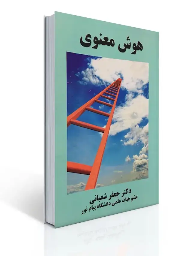 جلد کتاب هوش معنوی