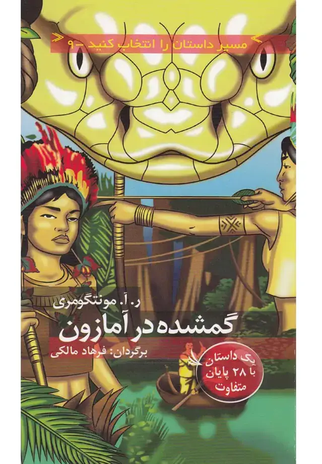 جلد کتاب مسیر داستان را انتخاب کنید 9 (گمشده در آمازون:با 28 پایان متفاوت)
