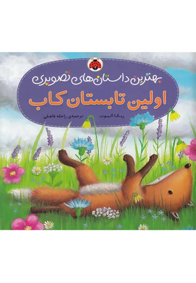 جلد کتاب اولین تابستان کاب (بهترین داستان های تصویری)،(گلاسه)