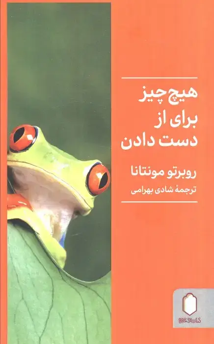 جلد کتاب هیچ چیز برای از دست دادن نیست
