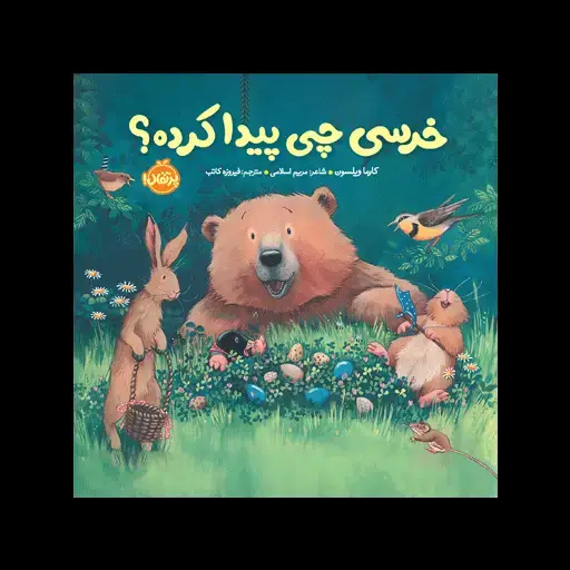جلد کتاب خرسی چی پیدا کرده؟