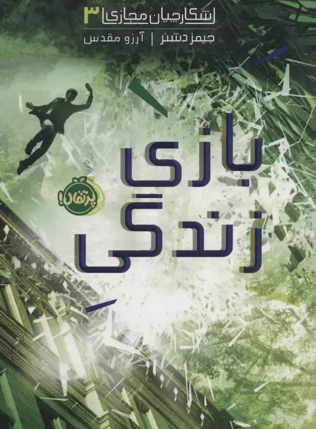 جلد کتاب بازی زندگی (شکارچیان مجازی 3)