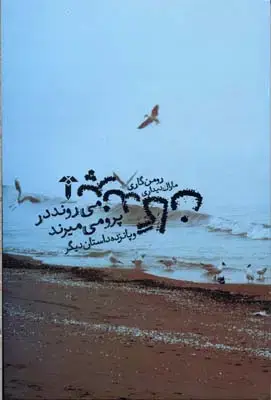 جلد کتاب پرندگان می روند در پرو می میرند