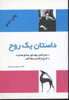 جلد کتاب داستان یک روح