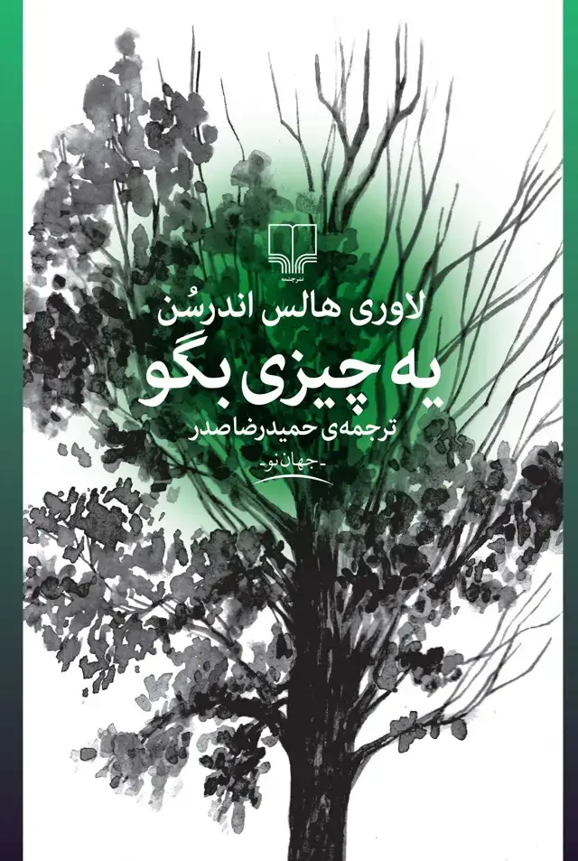 جلد کتاب یه چیزی بگو
