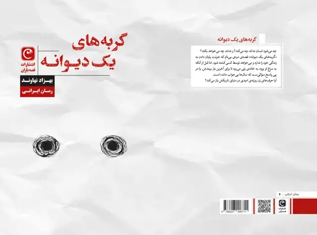 جلد کتاب گربه‌های یک دیوانه