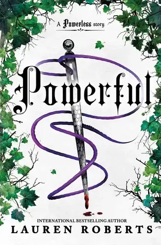 جلد کتاب قدرتمند جلد 2 (2 Powerful)