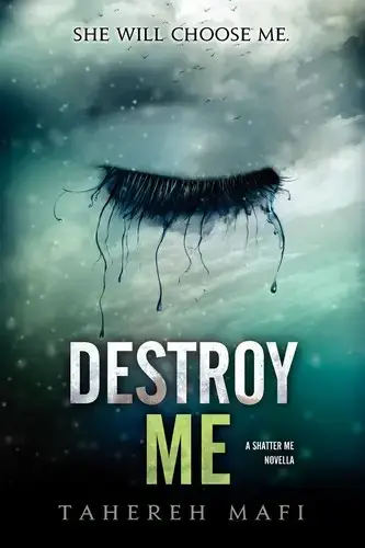 جلد کتاب ویرانم کن (Destroy Me)