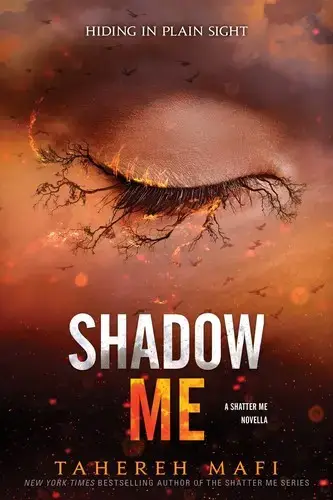 جلد کتاب دنبالم کن (Shadow Me)