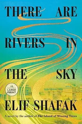 جلد کتاب رودخانه هایی در آسمان (There are Rivers in the Sky)