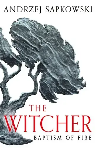 جلد کتاب حماسه ویچر جلد 5: غسل آتش (The Witcher 5: Baptism Of Fire)