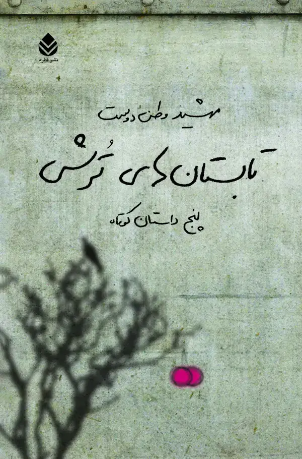 جلد کتاب تابستان‌های ترش