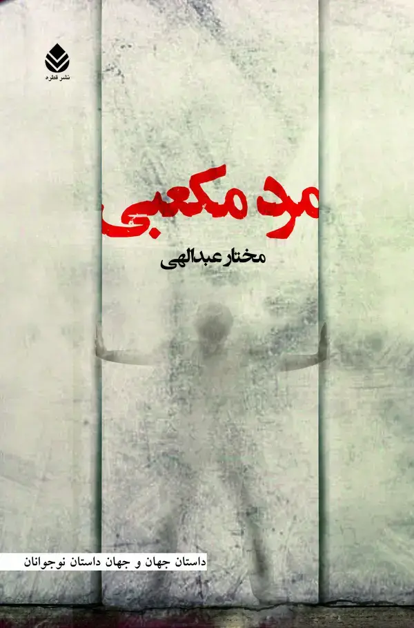 جلد کتاب مرد مکعبی