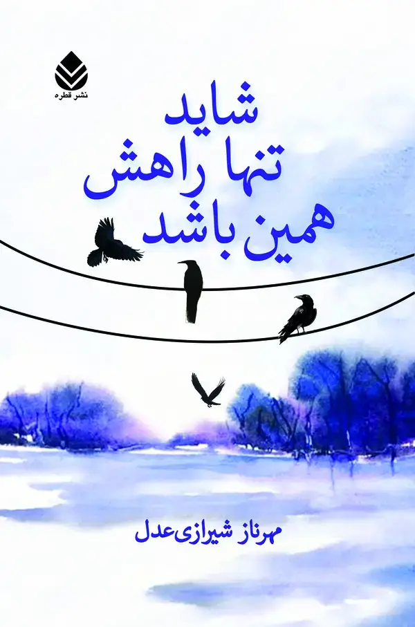 جلد کتاب شاید تنها راهش همین باشد