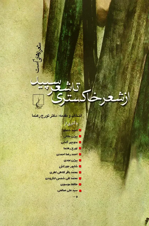 جلد کتاب از شعر خاکستری تا شعر سپید