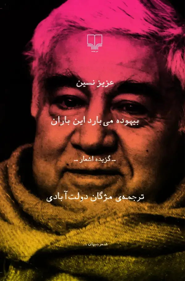 جلد کتاب بیهوده می‌بارد این باران